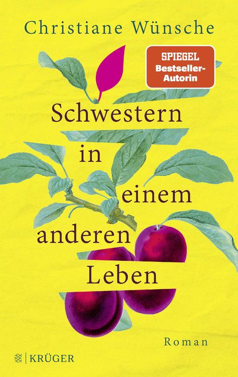 Produktbild: Schwestern in einem anderen Leben