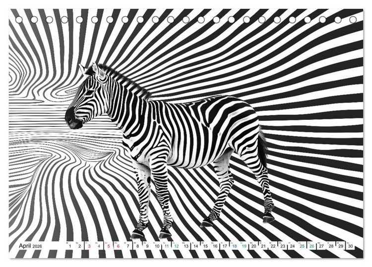Produktbild: ZEBRAS - Modern Art (Tischkalender 2026 DIN A5 quer), CALVENDO Monatskalender