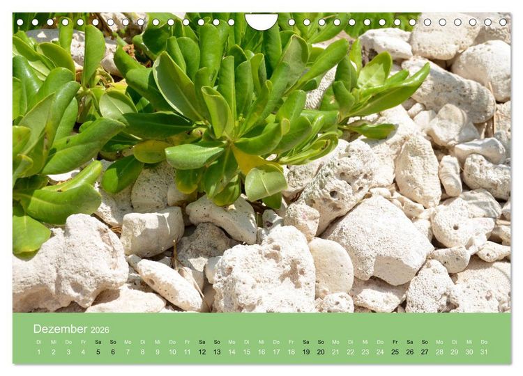 Produktbild: Mexiko - ein traumhaftes Paradies (Wandkalender 2026 DIN A4 quer), CALVENDO Monatskalender
