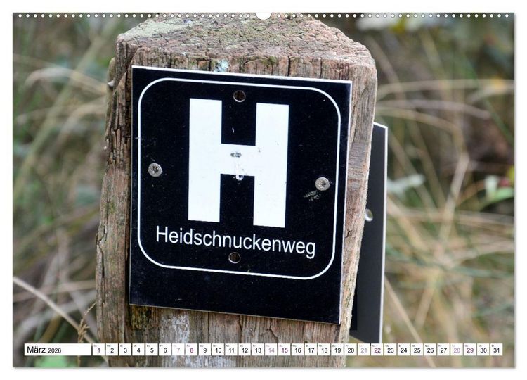 Produktbild: Heidelandschaft im Farbenspiel der Natur (Wandkalender 2026 DIN A2 quer), CALVENDO Monatskalender