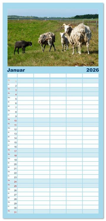 Produktbild: Familienplaner 2026 - Sams&ouml; die d&auml;nische Trauminsel im Kattegat mit 5 Spalten (Wandkalender, 21 x 45 cm) CALVENDO