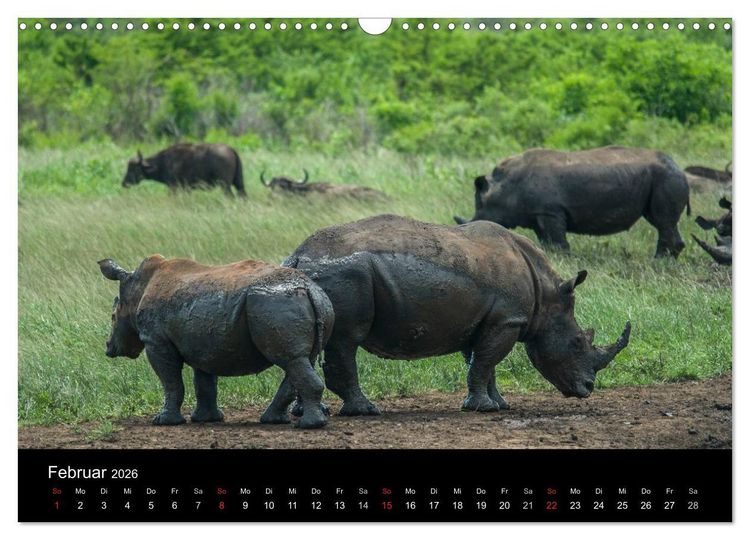 Produktbild: S&uuml;dafrika (Wandkalender 2026 DIN A3 quer), CALVENDO Monatskalender