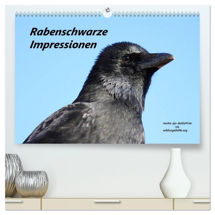 Produktbild: Rabenschwarze Impressionen - meike-ajo-dettlaff.de via wildvogelhlfe.org (hochwertiger Premium Wandkalender 2026 DIN A2 quer), Kunstdruck in Hochglanz