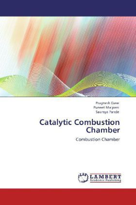Produktbild: Dave, P: Catalytic Combustion Chamber