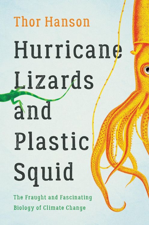 Produktbild: Hurricane Lizards and Plastic Squid
