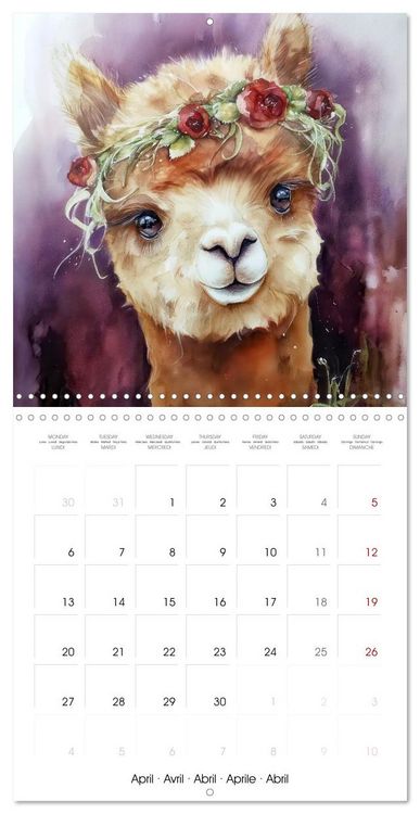 Produktbild: Alpagas du c&oelig;ur (Calendrier mural carr&eacute; 2026 30x30 cm) Calendrier double avec une page pour vos prises de notes