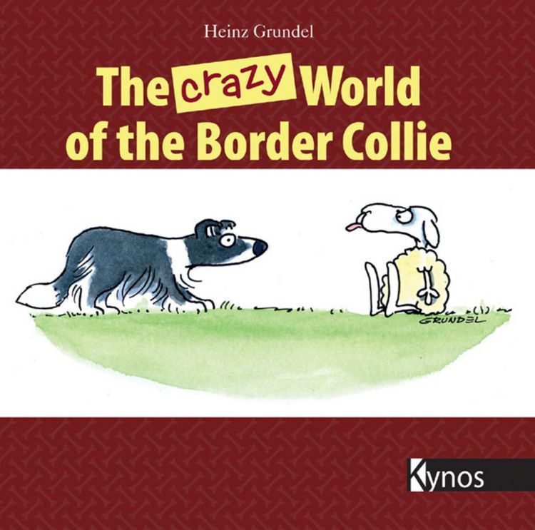 Produktbild: The crazy World of the Border Collie