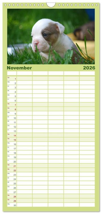 Produktbild: Familienplaner 2026 - Bulldoggen-Kinder mit 5 Spalten (Wandkalender, 21 x 45 cm) CALVENDO