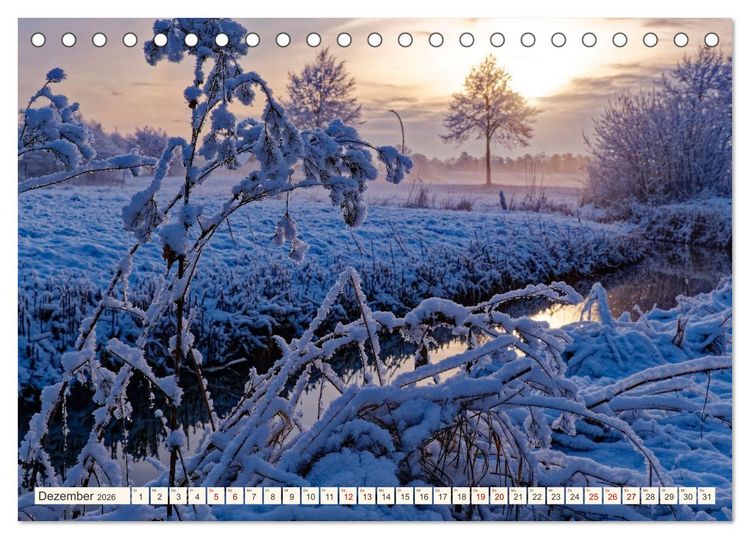 Produktbild: Hamburg: Vier- und Marschlande (Tischkalender 2026 DIN A5 quer), CALVENDO Monatskalender