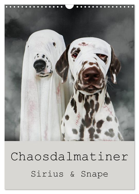 Produktbild: Chaosdalmatiner Sirius und Snape (Wandkalender 2026 DIN A3 hoch), CALVENDO Monatskalender