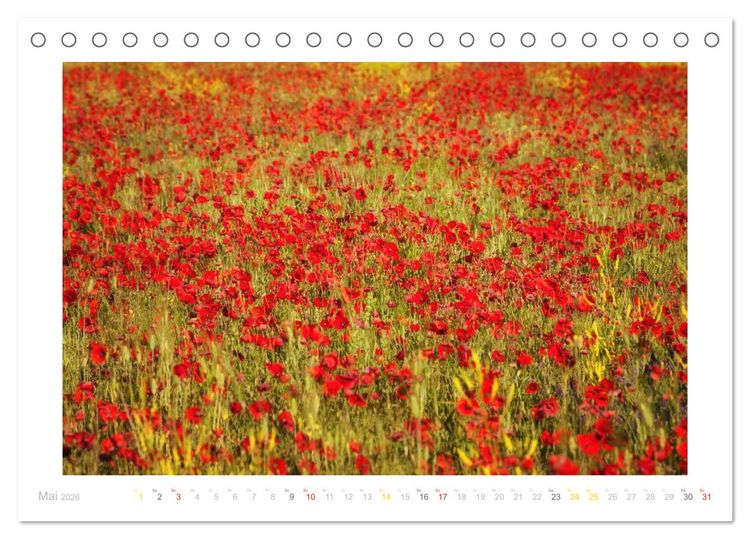 Produktbild: Streifzug durch die Provence (Tischkalender 2026 DIN A5 quer), CALVENDO Monatskalender