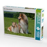 Produktbild: CALVENDO Puzzle Collie - R&uuml;de und H&uuml;ndin 1000 Teile Lege-Gr&ouml;&szlig;e 64 x 48 cm Foto-Puzzle Bild von Sigrid Starick