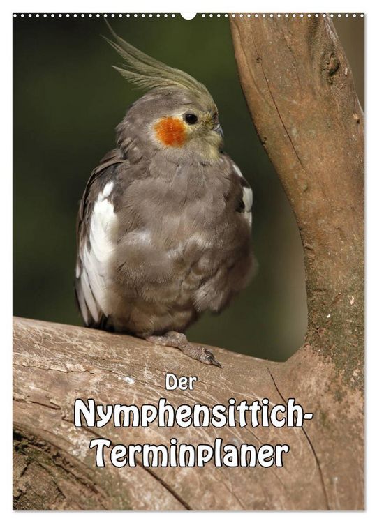 Produktbild: Der Nymphensittich-Terminplaner (Wandkalender 2026 DIN A2 hoch), CALVENDO Monatskalender