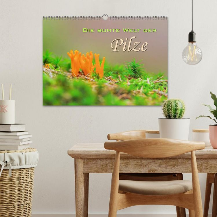 Produktbild: Die bunte Welt der Pilze (Wandkalender 2026 DIN A3 quer), CALVENDO Monatskalender