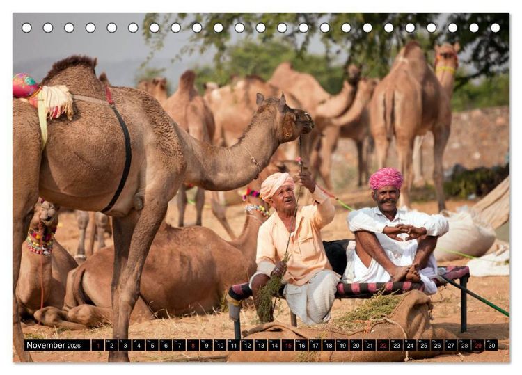 Produktbild: Indien - Rajasthan (Tischkalender 2026 DIN A5 quer), CALVENDO Monatskalender