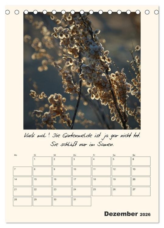 Produktbild: Gartengeschichten (Tischkalender 2026 DIN A5 hoch), CALVENDO Monatskalender