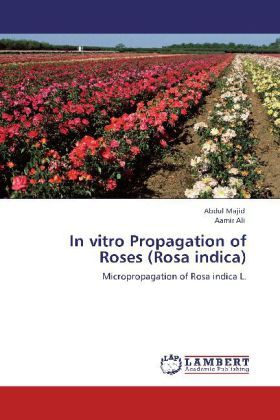 Produktbild: Majid, A: In vitro Propagation of Roses (Rosa indica)