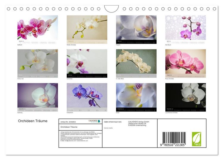 Produktbild: Orchideen Tr&auml;ume (Wandkalender 2026 DIN A4 quer), CALVENDO Monatskalender