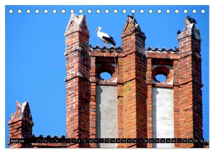 Produktbild: Im Paradies der St&ouml;rche - Dorfkirchen als Storchkirchen in Ostpreu&szlig;en (Tischkalender 2026 DIN A5 quer), CALVENDO Monatskalender