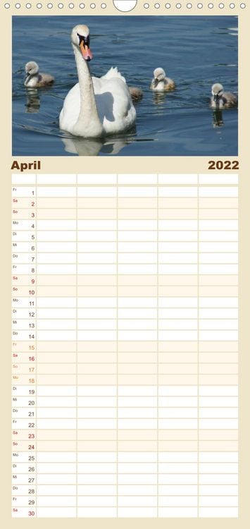 Produktbild: Das faszinierende Leben der Schw&auml;ne - Familienplaner hoch (Wandkalender 2022 , 21 cm x 45 cm, hoch)