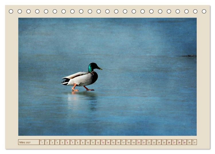 Produktbild: V&ouml;gel am Chemnitzer Schlossteich (Tischkalender 2027 DIN A5 quer), CALVENDO Monatskalender
