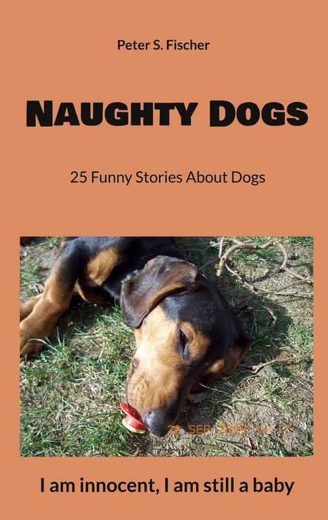 Produktbild: Naughty Dogs