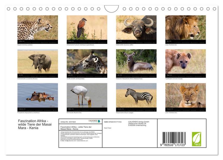 Produktbild: Faszination Afrika - wilde Tiere der Masai Mara - Kenia (Wandkalender 2026 DIN A4 quer), CALVENDO Monatskalender