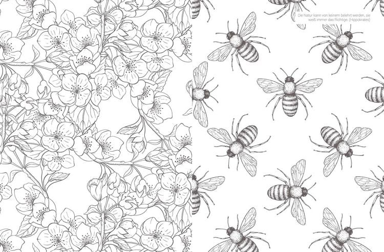 Produktbild: Inspiration Blumenwiese