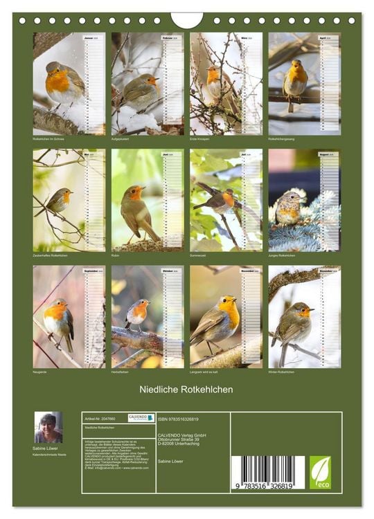 Produktbild: Niedliche Rotkehlchen (Wandkalender 2026 DIN A4 hoch), CALVENDO Monatskalender