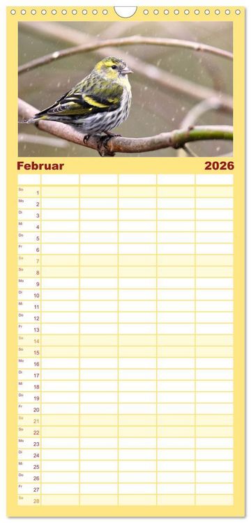 Produktbild: Familienplaner 2026 - Erlenzeisige mit 5 Spalten (Wandkalender, 21 x 45 cm) CALVENDO