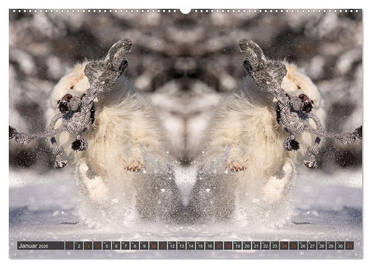 Produktbild: Mit doppelter Power durch das Jahr (Wandkalender 2026 DIN A2 quer), CALVENDO Monatskalender