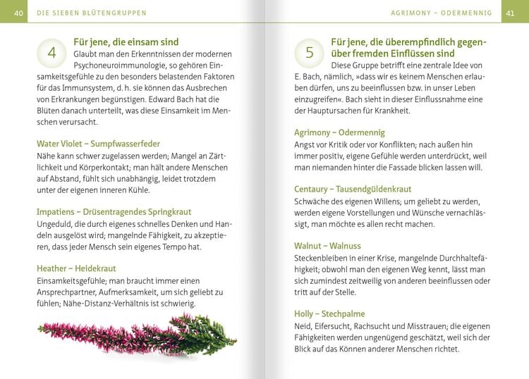 Heilen mit Bachblüten. Kompakt-Ratgeber