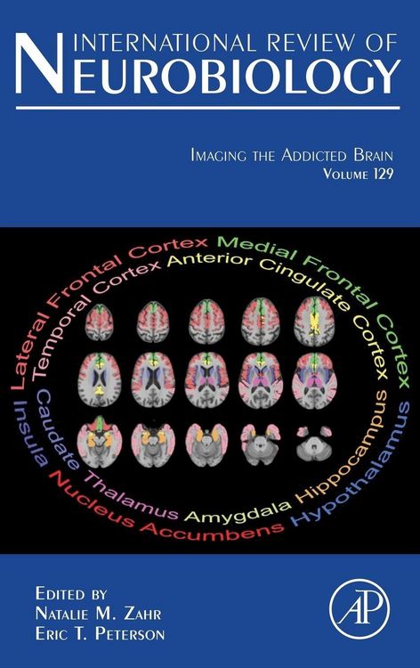 Produktbild: Imaging the Addicted Brain