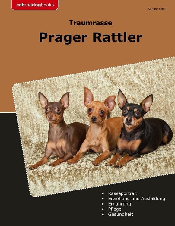 Produktbild: Traumrasse Prager Rattler