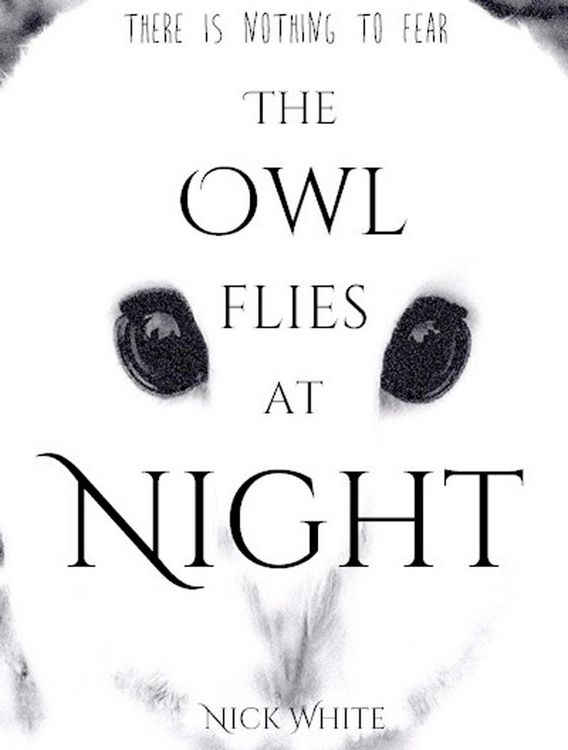Produktbild: The Owl Flies at Night