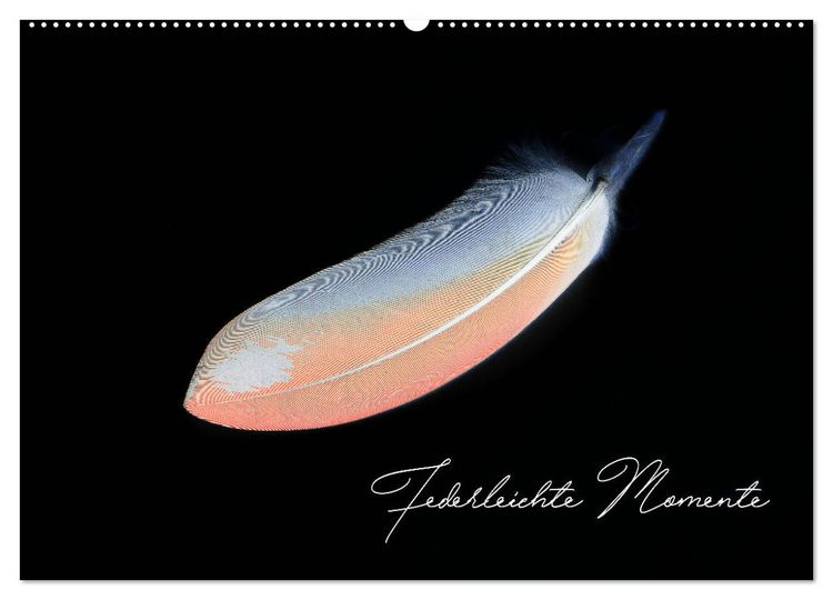 Produktbild: Federleichte Momente (Wandkalender 2026 DIN A2 quer), CALVENDO Monatskalender