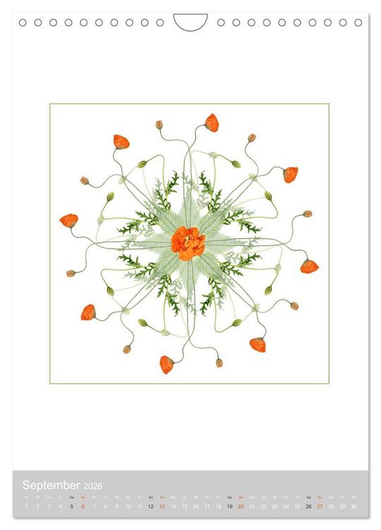 Produktbild: Pflanzen - Mandalas aus Bl&uuml;ten und Bl&auml;ttern (Wandkalender 2026 DIN A4 hoch), CALVENDO Monatskalender