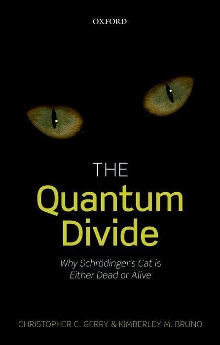 Produktbild: The Quantum Divide