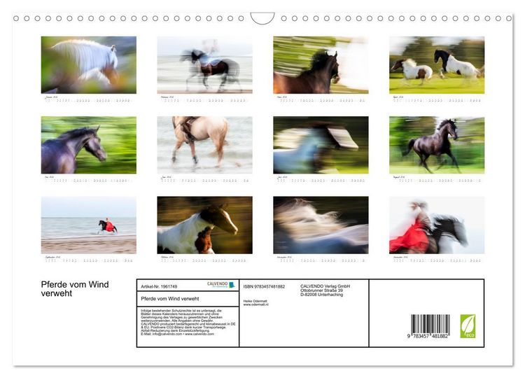 Produktbild: Pferde vom Wind verweht (Wandkalender 2026 DIN A3 quer), CALVENDO Monatskalender