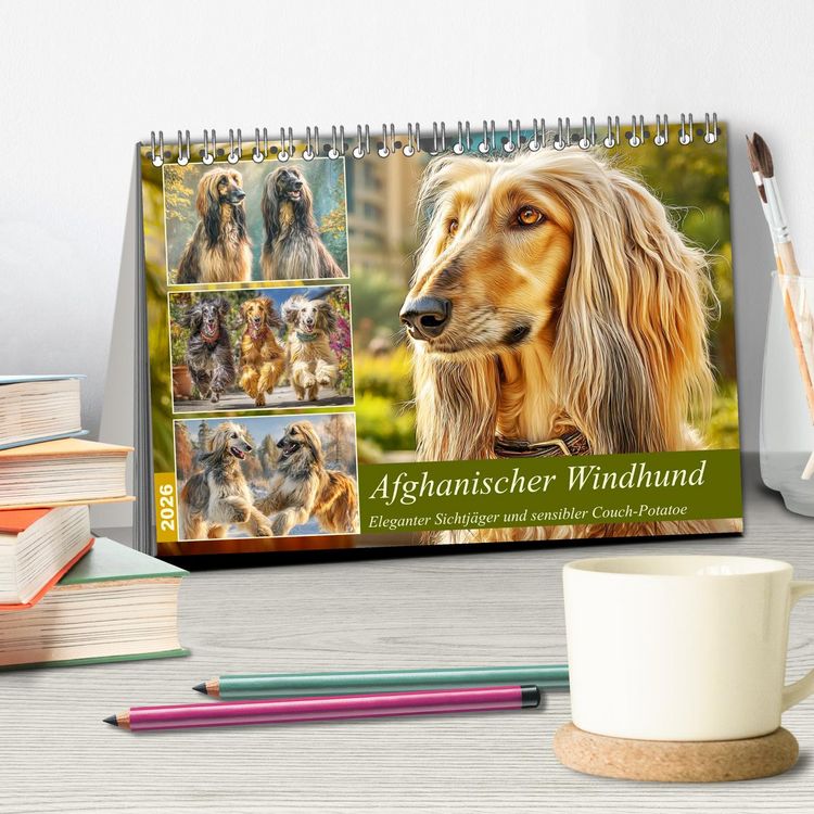 Produktbild: Afghanischer Windhund. Eleganter Sichtj&auml;ger und sensibler Couch-Potatoe (Tischkalender 2026 DIN A5 quer), CALVENDO Monatskalender