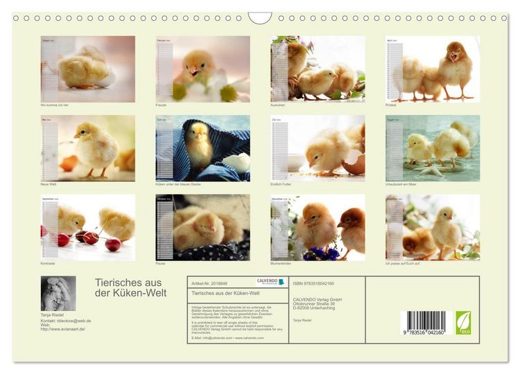Produktbild: Tierisches aus der K&uuml;ken-Welt (Wandkalender 2026 DIN A3 quer), CALVENDO Monatskalender