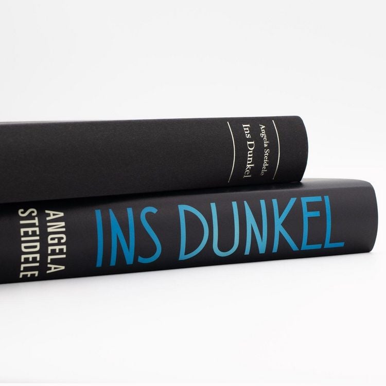Produktbild: Ins Dunkel