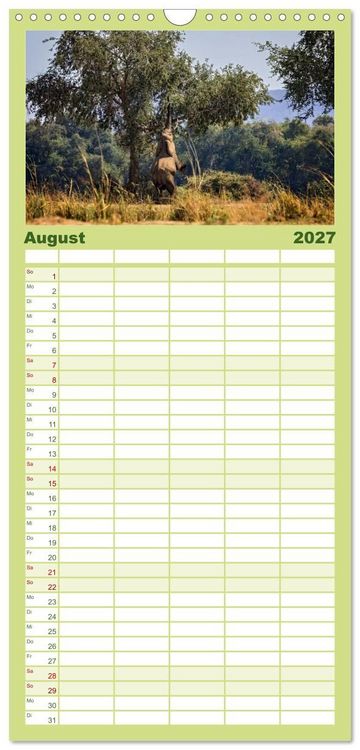 Produktbild: Familienplaner 2027 - Sambias gro&szlig;artige Tierwelt mit 5 Spalten (Wandkalender, 21 x 45 cm) CALVENDO