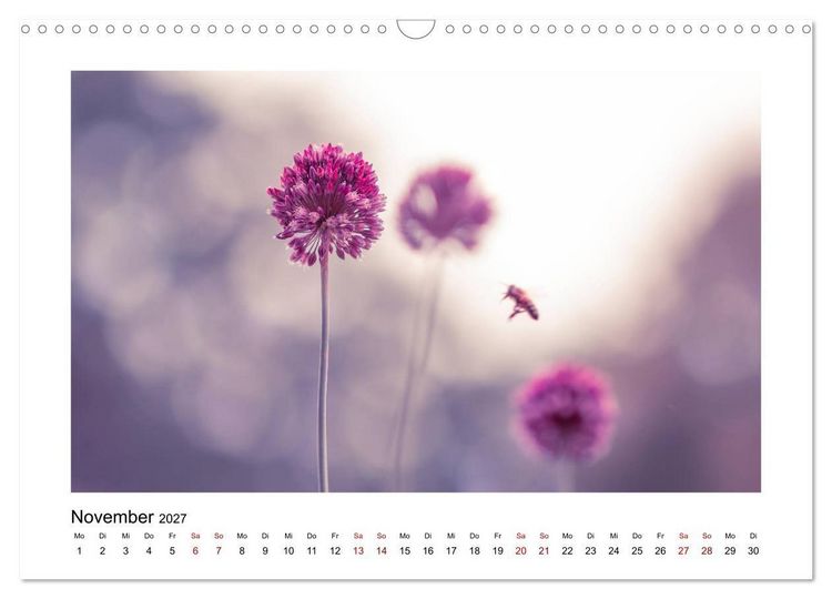 Produktbild: Rosa Bl&uuml;tentraum (Wandkalender 2027 DIN A3 quer), CALVENDO Monatskalender
