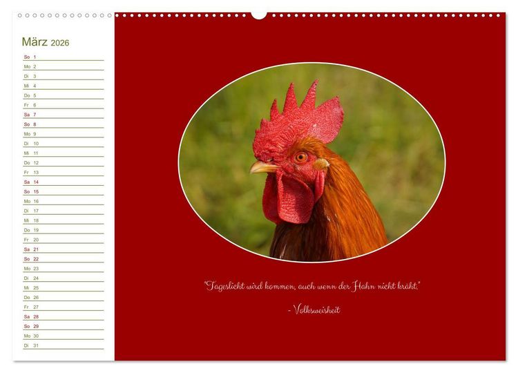 Produktbild: Freilaufende H&uuml;hner (hochwertiger Premium Wandkalender 2026 DIN A2 quer), Kunstdruck in Hochglanz