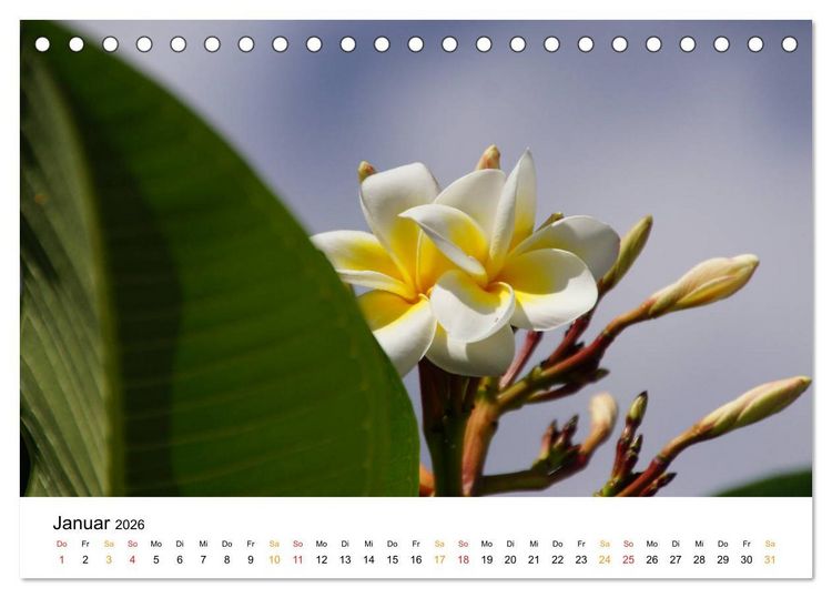 Produktbild: La R&eacute;union - Auf der Insel der Gef&uuml;hle (Tischkalender 2026 DIN A5 quer), CALVENDO Monatskalender