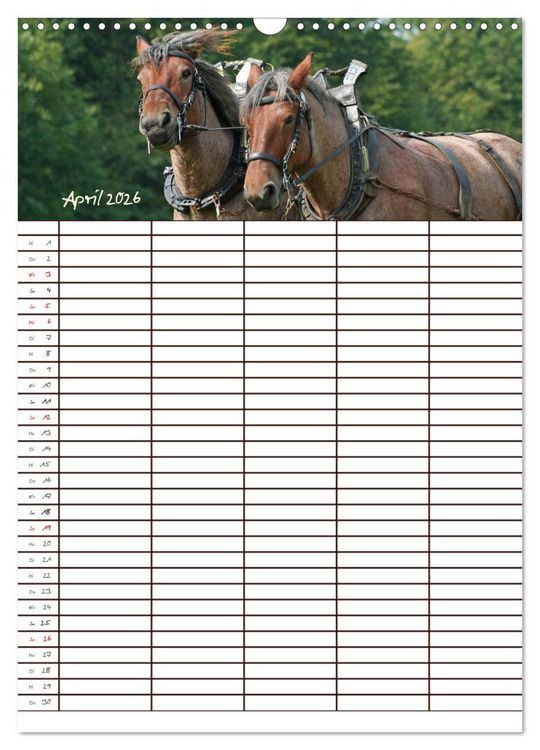 Produktbild: Der Kaltblut-Familienplaner (Wandkalender 2026 DIN A3 hoch), CALVENDO Monatskalender