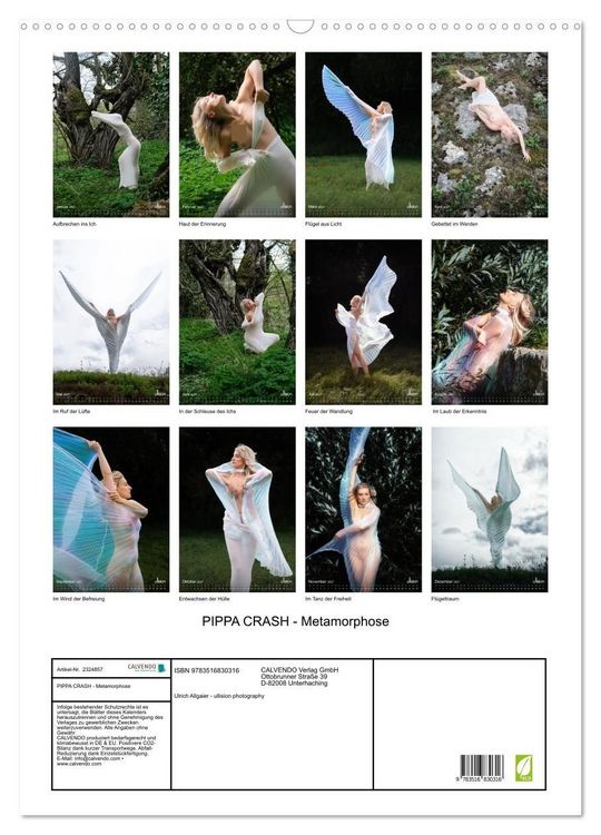 Produktbild: PIPPA CRASH - Metamorphose (Wandkalender 2027 DIN A2 hoch), CALVENDO Monatskalender