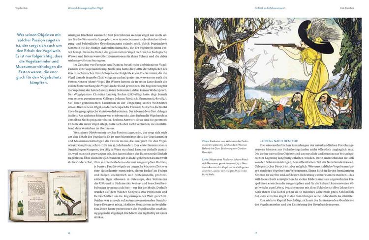 Produktbild: Vogelwelten