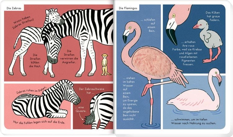 Produktbild: Mein F&uuml;hl-W&ouml;rterbuch: Wilde Tiere (F&uuml;hlen&begr.)